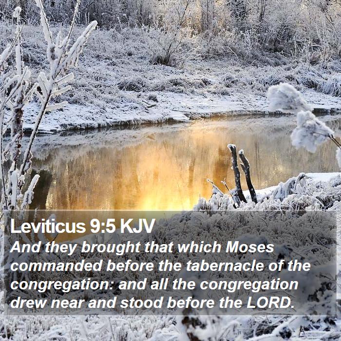 Leviticus 9:5 KJV Bible Study