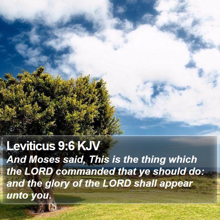 Leviticus 9:6 KJV Bible Study