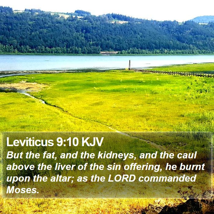 Leviticus 9:10 KJV Bible Study