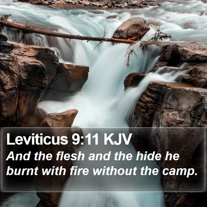 Leviticus 9:11 KJV Bible Study