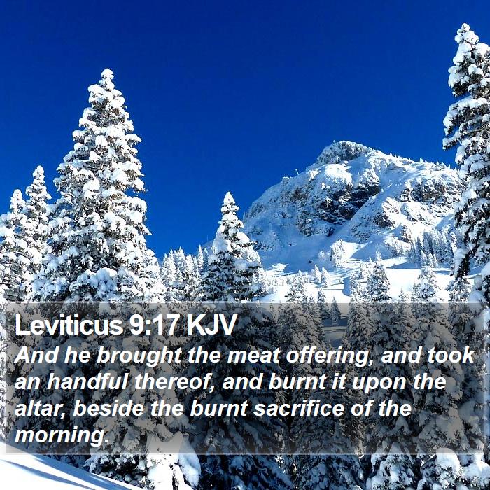 Leviticus 9:17 KJV Bible Study