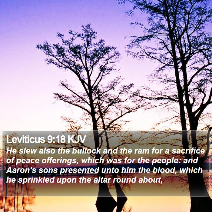 Leviticus 9:18 KJV Bible Study