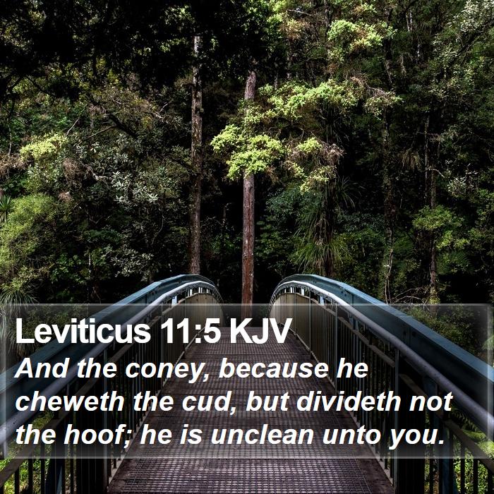 Leviticus 11:5 KJV Bible Study