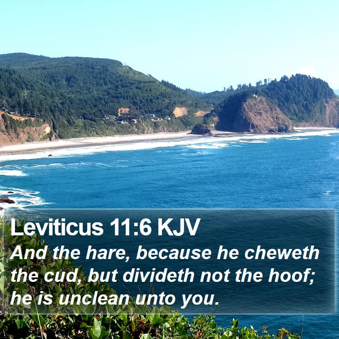 Leviticus 11:6 KJV Bible Study