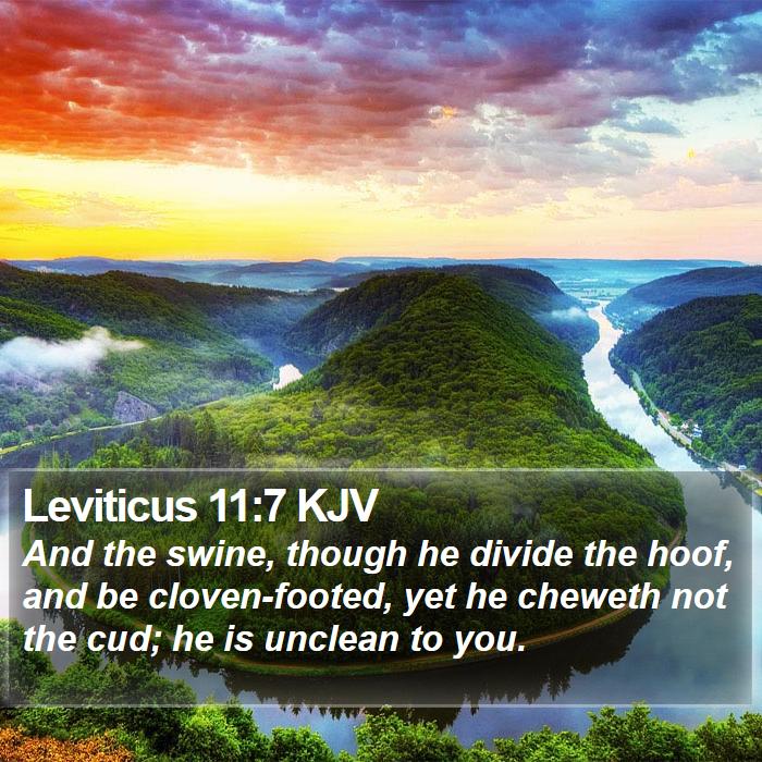 Leviticus 11:7 KJV Bible Study