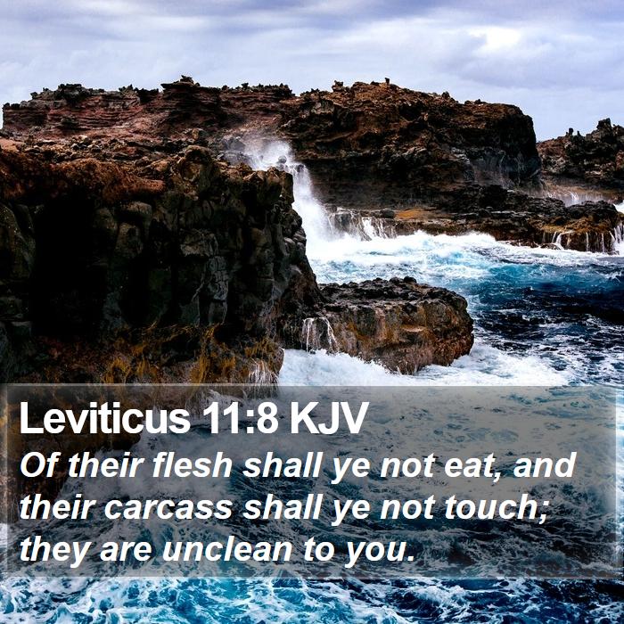 Leviticus 11:8 KJV Bible Study