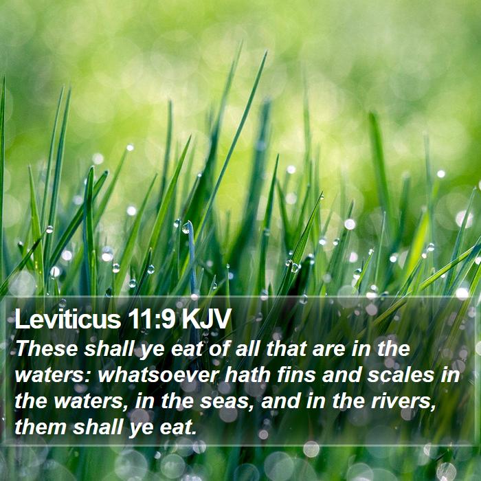 Leviticus 11:9 KJV Bible Study