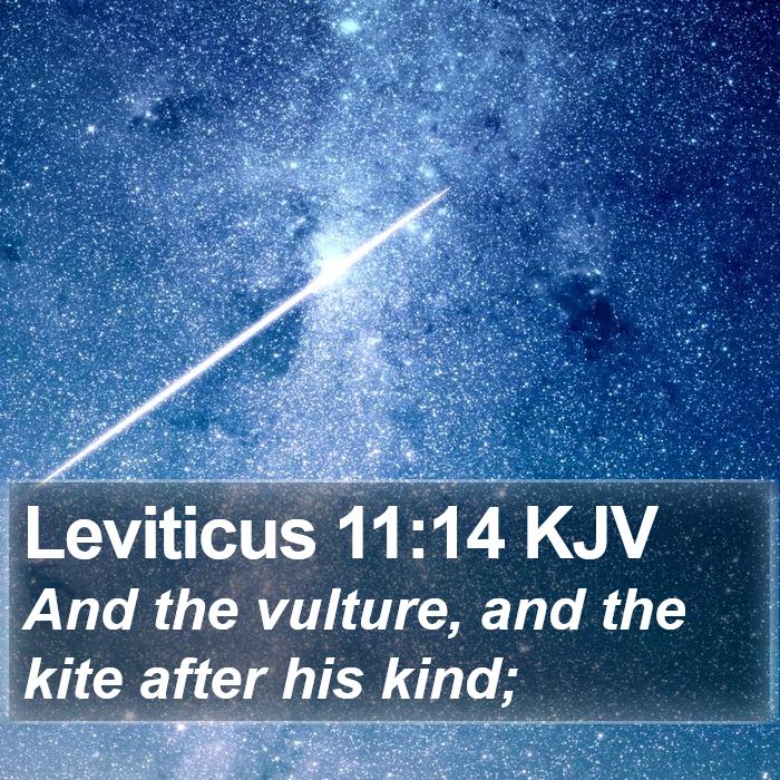 Leviticus 11:14 KJV Bible Study