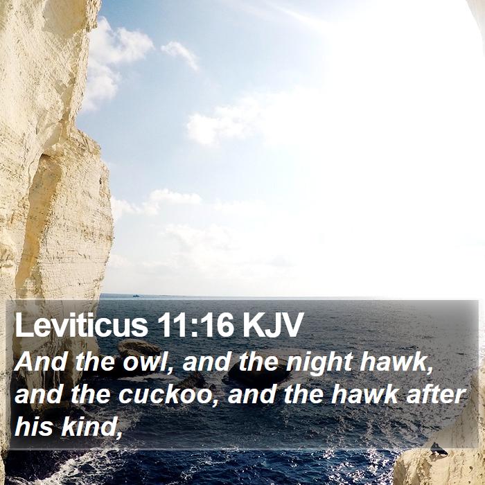 Leviticus 11:16 KJV Bible Study