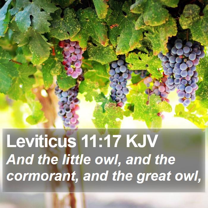 Leviticus 11:17 KJV Bible Study