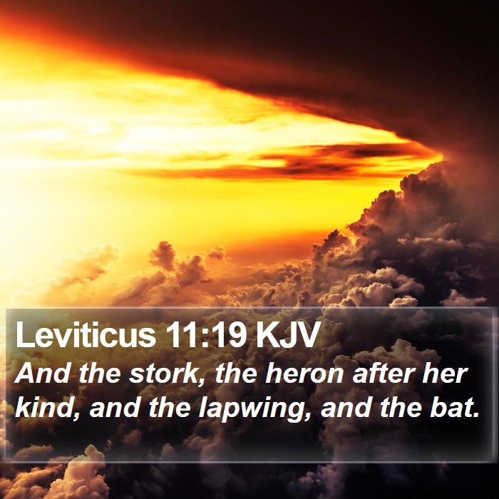 Leviticus 11:19 KJV Bible Study