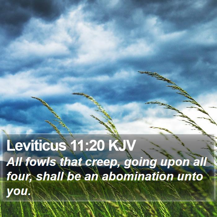 Leviticus 11:20 KJV Bible Study