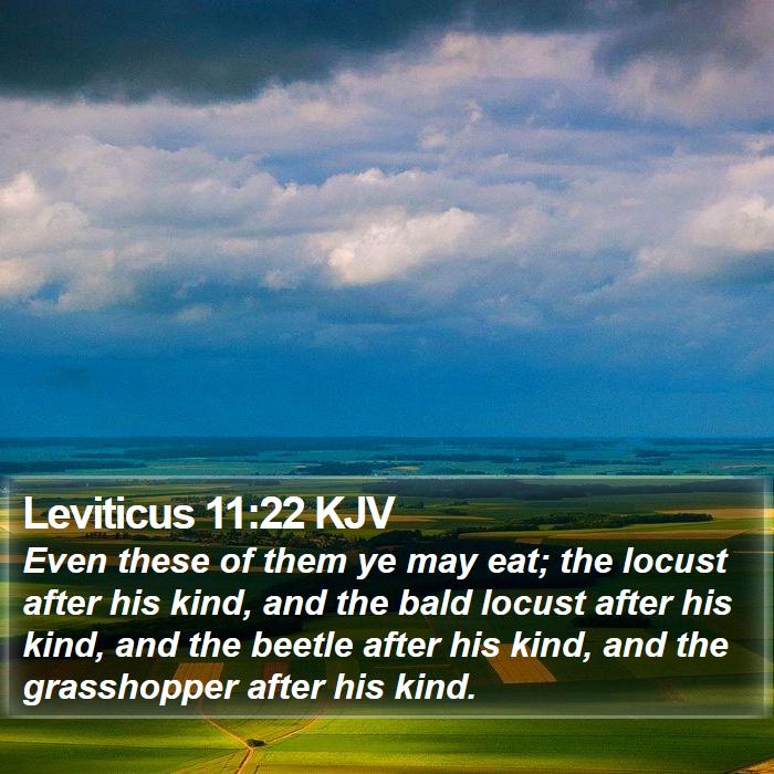 Leviticus 11:22 KJV Bible Study