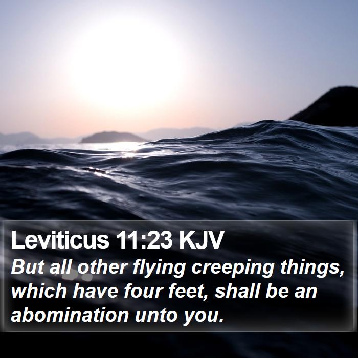 Leviticus 11:23 KJV Bible Study