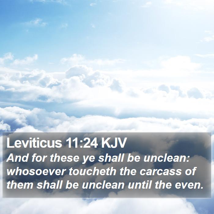 Leviticus 11:24 KJV Bible Study