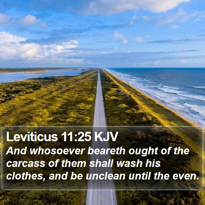 Leviticus 11:25 KJV Bible Study