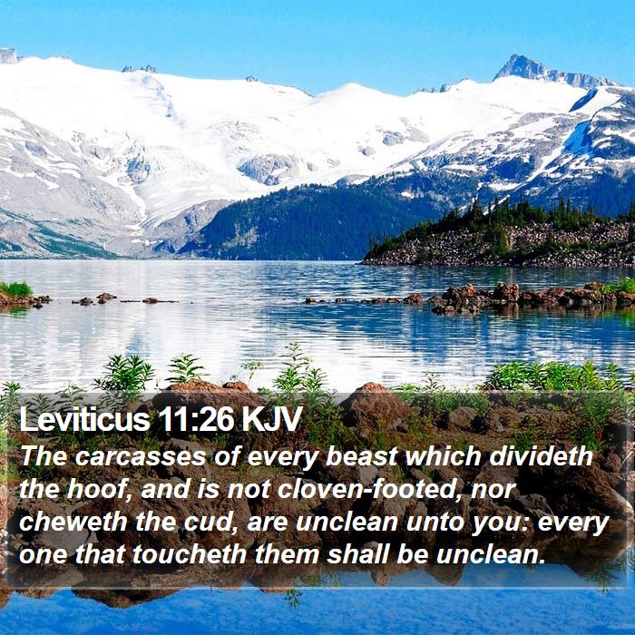 Leviticus 11:26 KJV Bible Study