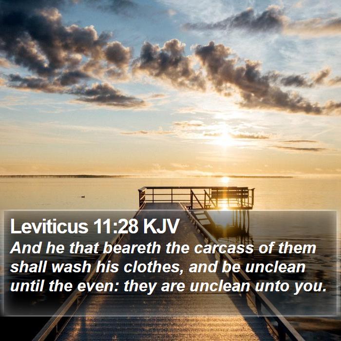 Leviticus 11:28 KJV Bible Study