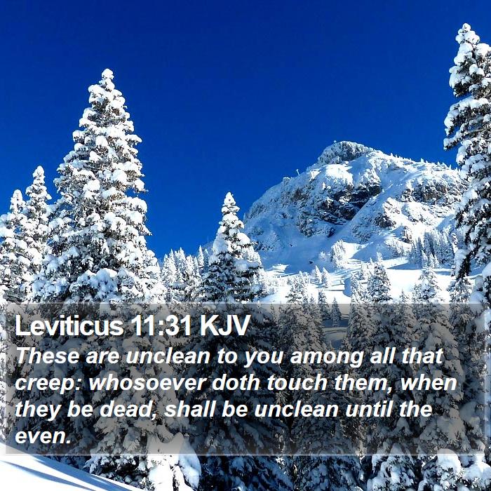 Leviticus 11:31 KJV Bible Study