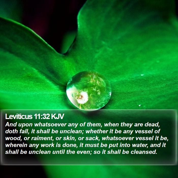 Leviticus 11:32 KJV Bible Study