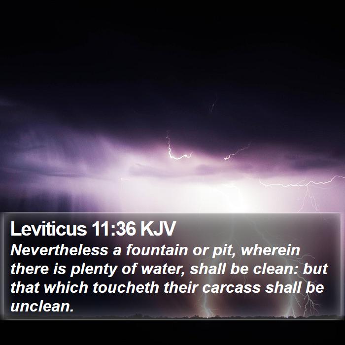 Leviticus 11:36 KJV Bible Study