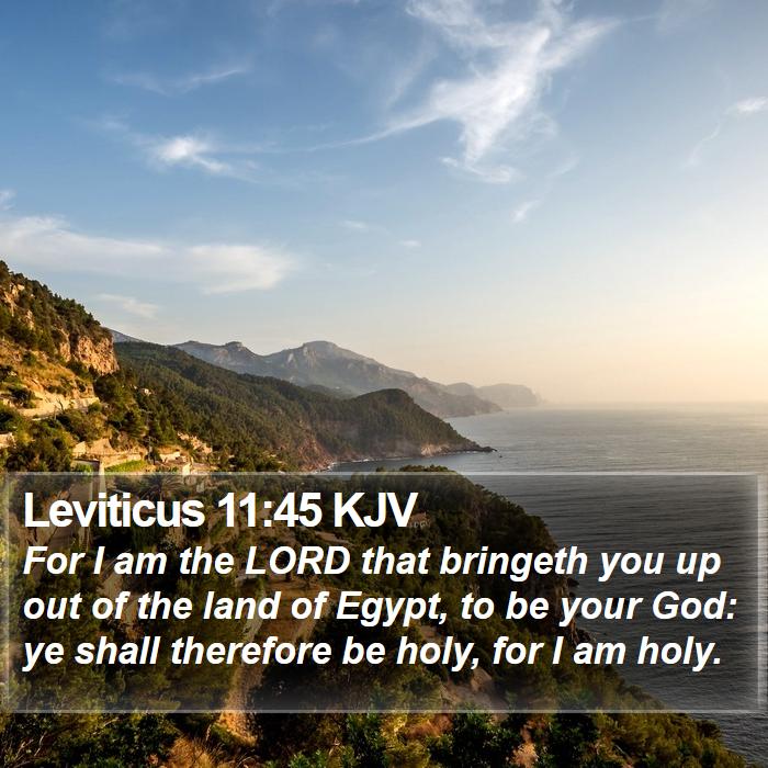 Leviticus 11:45 KJV Bible Study