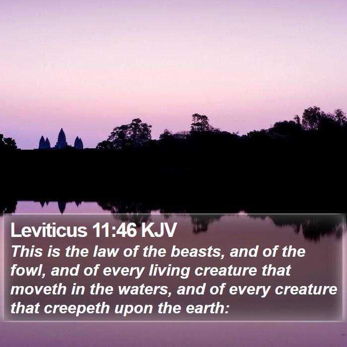 Leviticus 11:46 KJV Bible Study