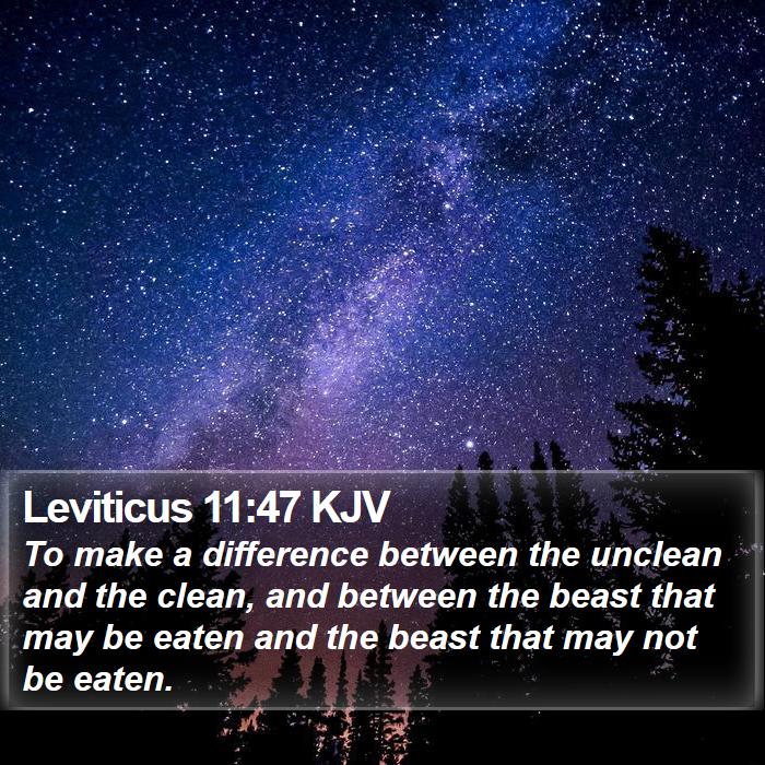 Leviticus 11:47 KJV Bible Study