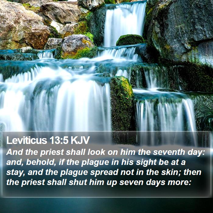 Leviticus 13:5 KJV Bible Study