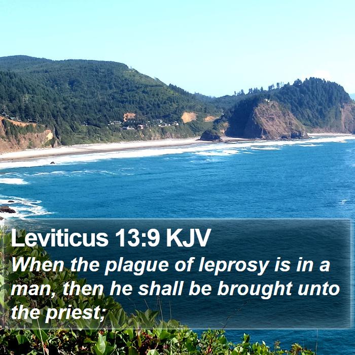 Leviticus 13:9 KJV Bible Study