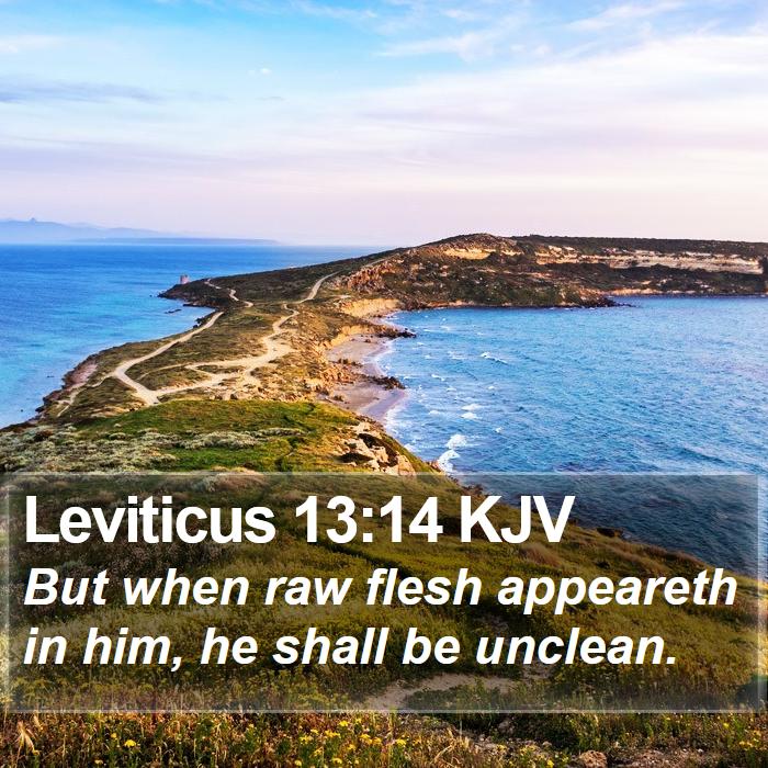 Leviticus 13:14 KJV Bible Study