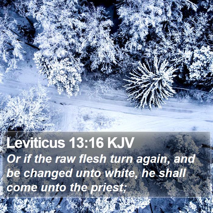 Leviticus 13:16 KJV Bible Study