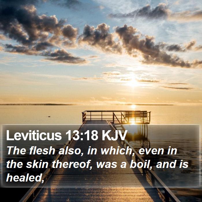 Leviticus 13:18 KJV Bible Study