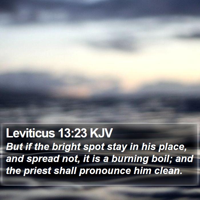 Leviticus 13:23 KJV Bible Study