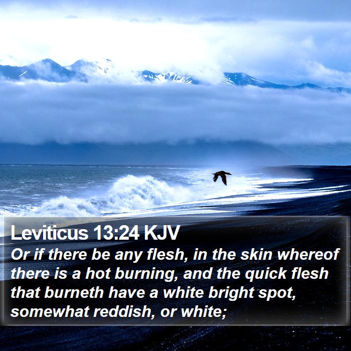 Leviticus 13:24 KJV Bible Study