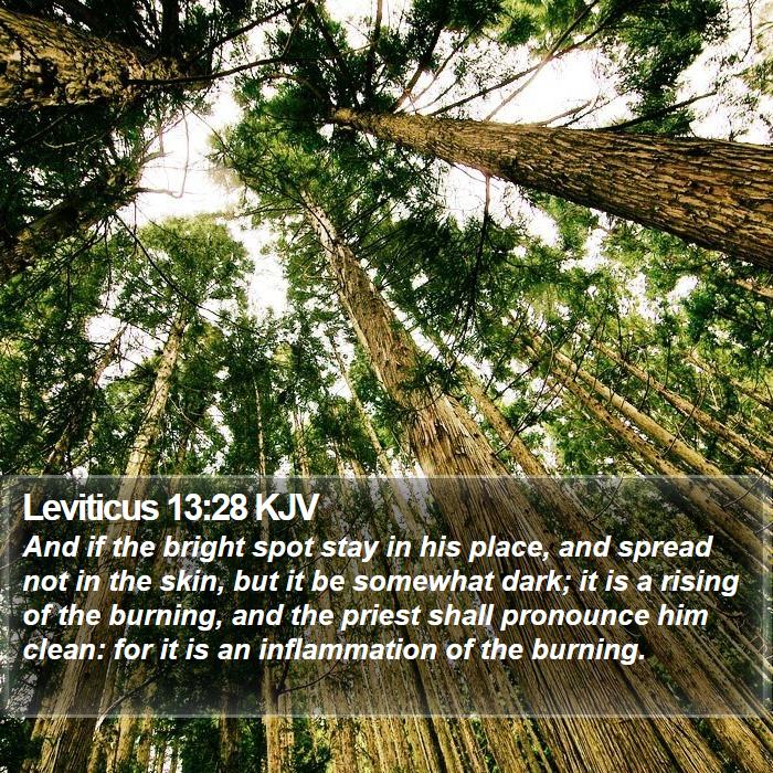 Leviticus 13:28 KJV Bible Study