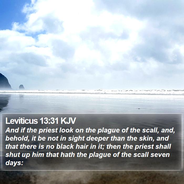 Leviticus 13:31 KJV Bible Study