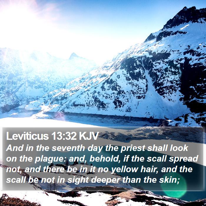 Leviticus 13:32 KJV Bible Study