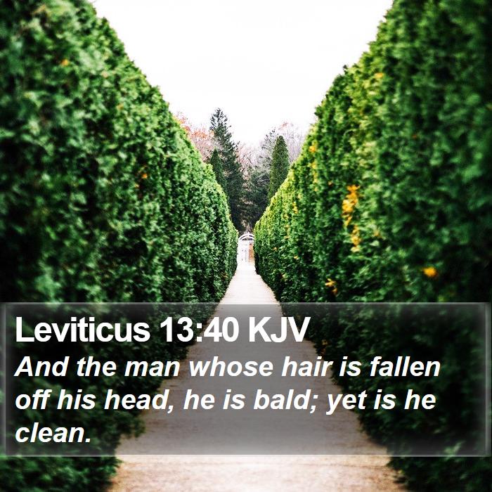 Leviticus 13:40 KJV Bible Study