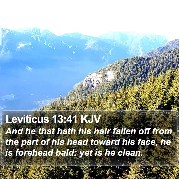 Leviticus 13:41 KJV Bible Study