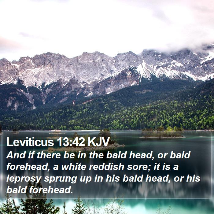 Leviticus 13:42 KJV Bible Study