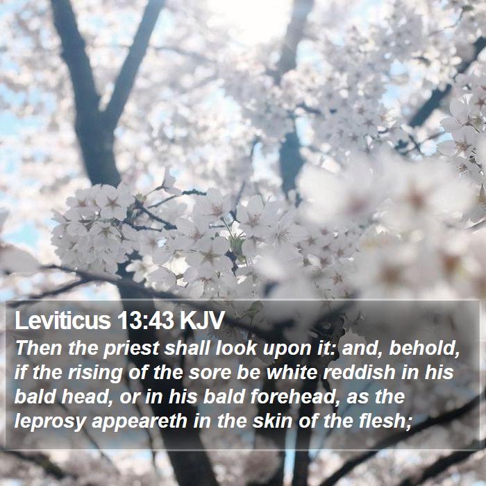 Leviticus 13:43 KJV Bible Study