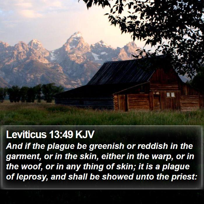 Leviticus 13:49 KJV Bible Study