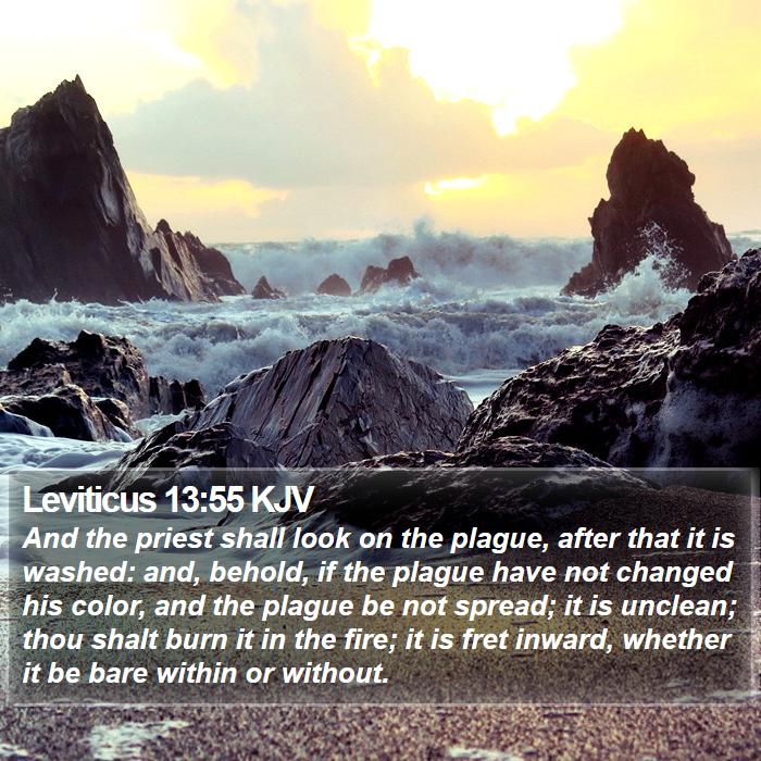 Leviticus 13:55 KJV Bible Study