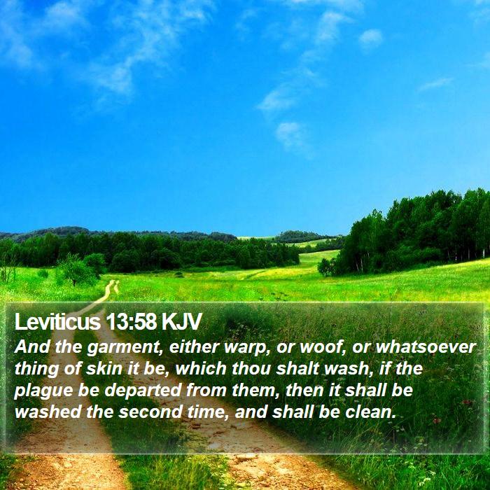 Leviticus 13:58 KJV Bible Study