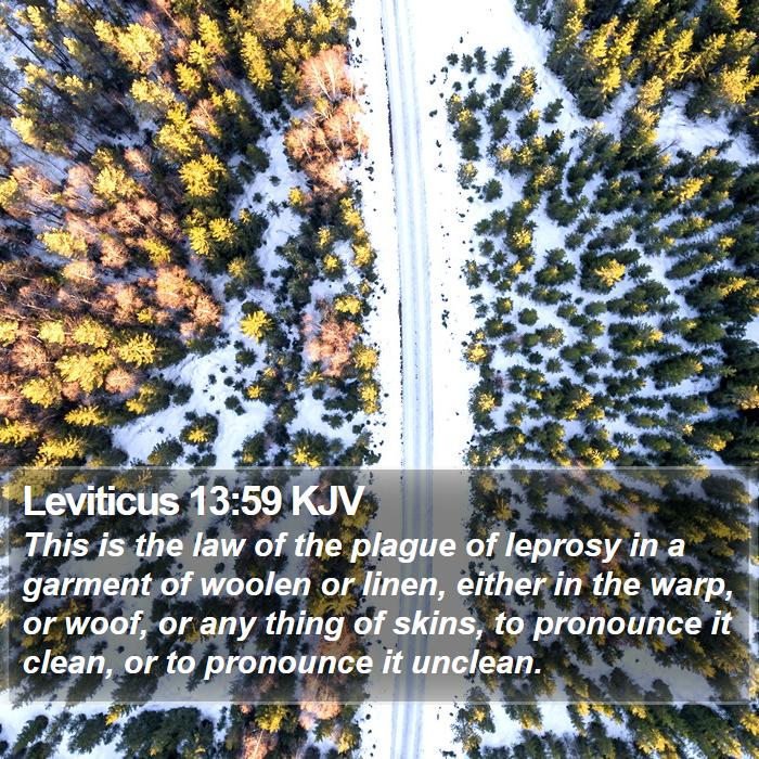 Leviticus 13:59 KJV Bible Study