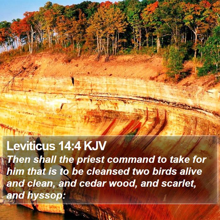 Leviticus 14:4 KJV Bible Study