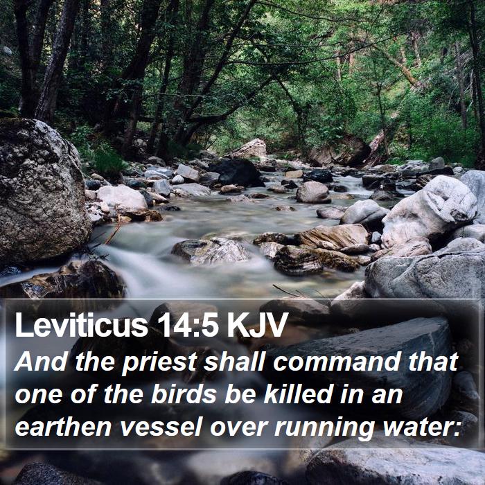 Leviticus 14:5 KJV Bible Study