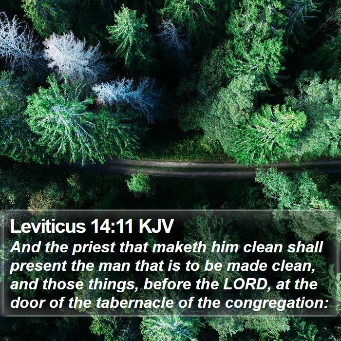 Leviticus 14:11 KJV Bible Study