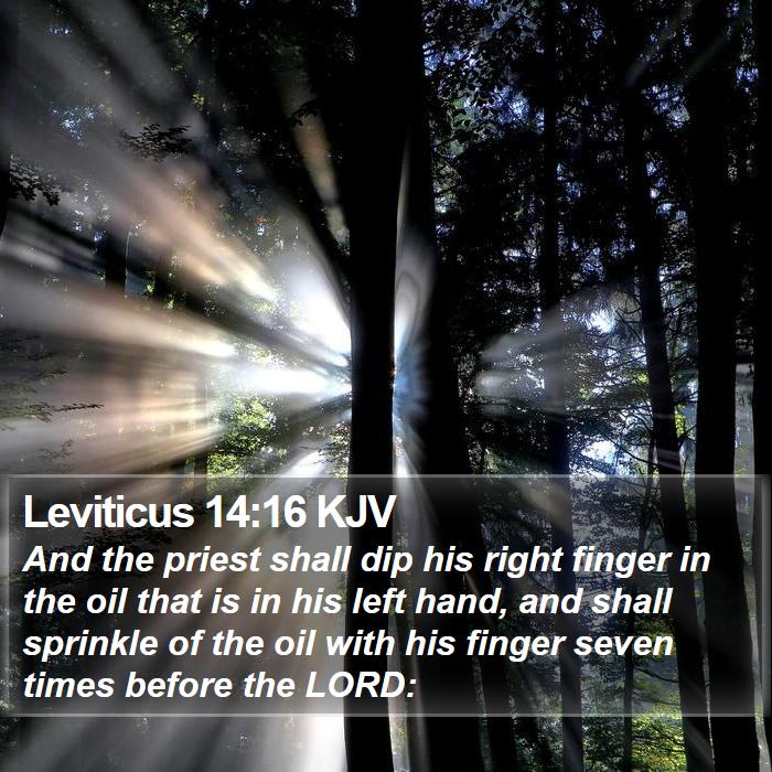 Leviticus 14:16 KJV Bible Study